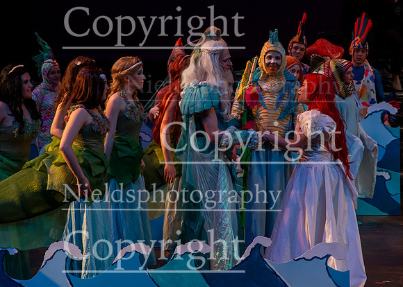 Little_Mermaid_199