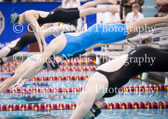 State Swimming_357