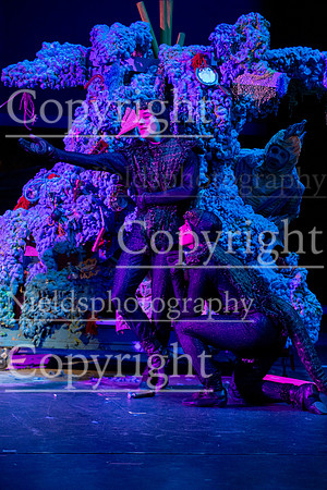 Little_Mermaid_397