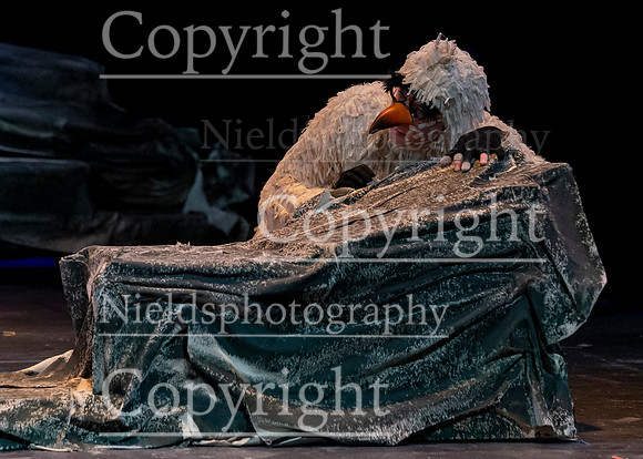 Little_Mermaid_458
