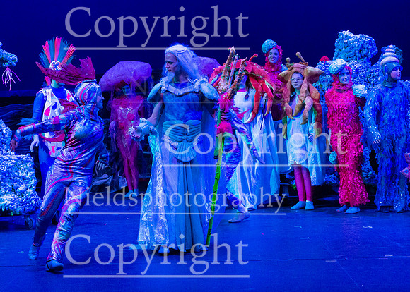 Little_Mermaid_011