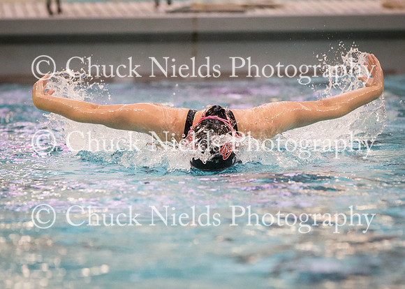 State Swimming_173